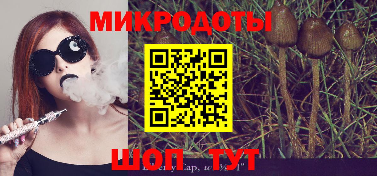МЕТАДОН Луга