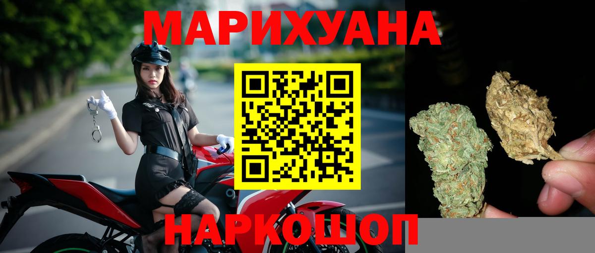 МАРИХУАНА SATIVA & INDICA Луга
